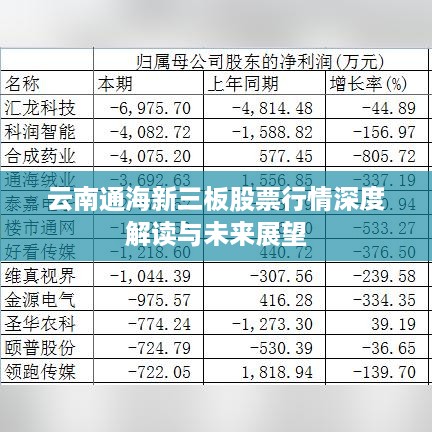 云南通海新三板股票行情深度解读与未来展望