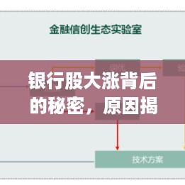 银行股大涨背后的秘密，原因揭秘、影响分析以及未来趋势展望