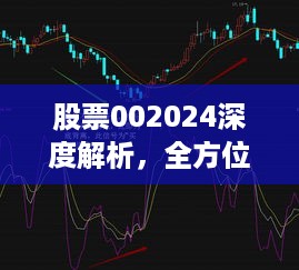 股票002024深度解析，全方位解读，洞悉投资先机