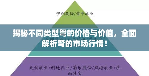 揭秘不同类型弩的价格与价值，全面解析弩的市场行情！