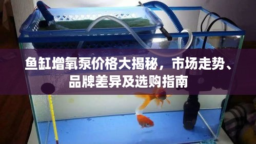 鱼缸增氧泵价格大揭秘，市场走势、品牌差异及选购指南