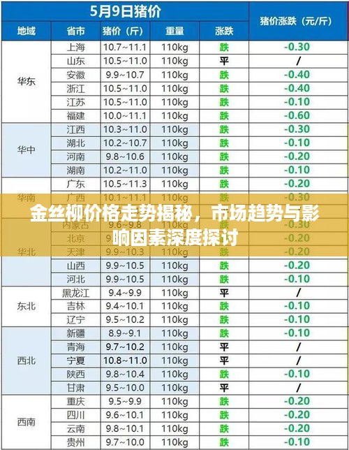 金丝柳价格走势揭秘，市场趋势与影响因素深度探讨