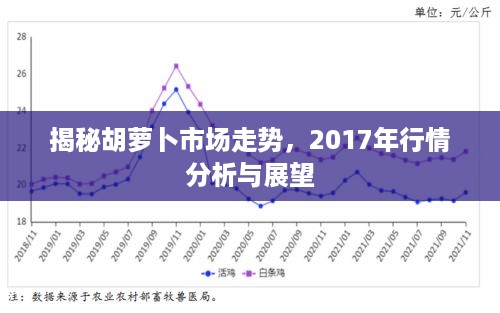 揭秘胡萝卜市场走势，2017年行情分析与展望