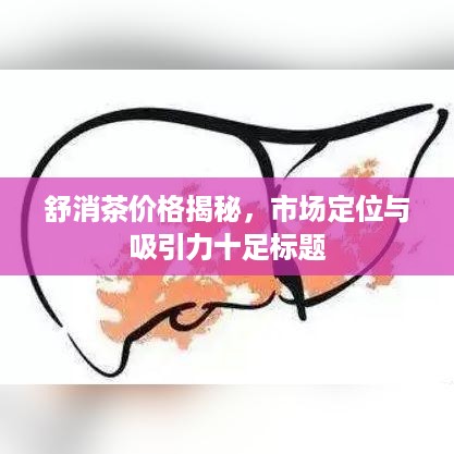 舒消茶价格揭秘，市场定位与吸引力十足标题