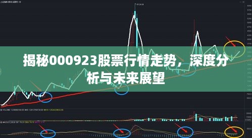 揭秘000923股票行情走势，深度分析与未来展望