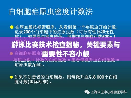 游泳比赛技术检查揭秘，关键要素与重要性不容小觑