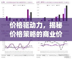 价格驱动力，揭秘价格策略的商业价值潜力