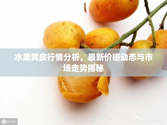 水果黄皮行情分析，最新价格动态与市场走势揭秘