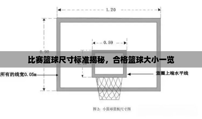 比赛篮球尺寸标准揭秘，合格篮球大小一览