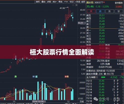 桓大股票行情全面解读