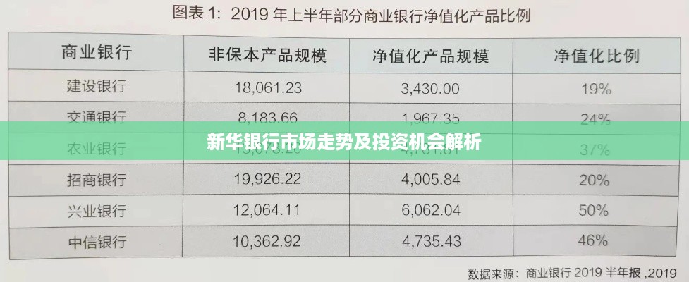 新华银行市场走势及投资机会解析