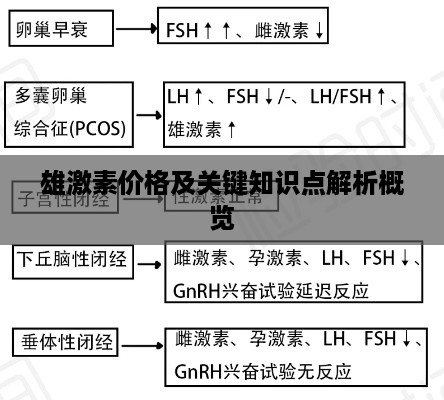 雄激素价格及关键知识点解析概览