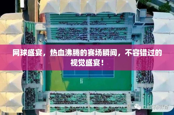 网球盛宴，热血沸腾的赛场瞬间，不容错过的视觉盛宴！