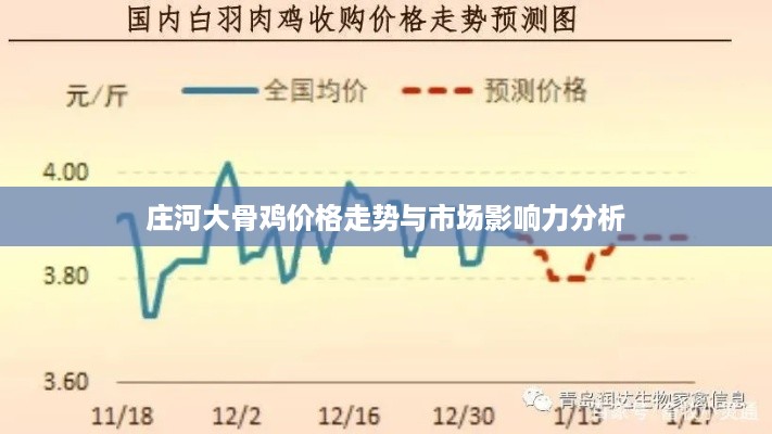 庄河大骨鸡价格走势与市场影响力分析