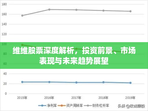 维维股票深度解析，投资前景、市场表现与未来趋势展望