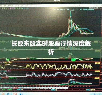 长原东股实时股票行情深度解析