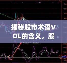 揭秘股市术语VOL的含义，股票交易中不可忽视的重要指标！