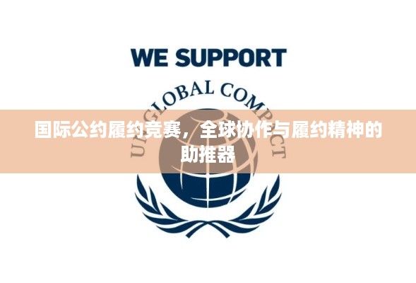 国际公约履约竞赛，全球协作与履约精神的助推器