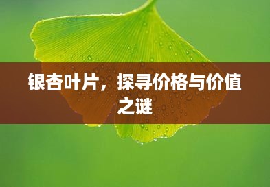 银杏叶片，探寻价格与价值之谜