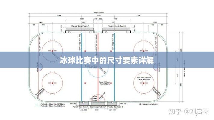 冰球比赛中的尺寸要素详解