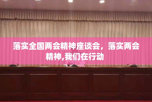 落实全国两会精神座谈会，落实两会精神,我们在行动 