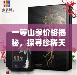 一等山参价格揭秘，探寻珍稀天然补品的极致价值！