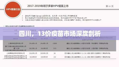 四川，13价疫苗市场深度剖析