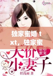 独家蜜婚 txt，独家蜜婚帝少宠妻深度 