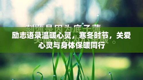 励志语录温暖心灵，寒冬时节，关爱心灵与身体保暖同行