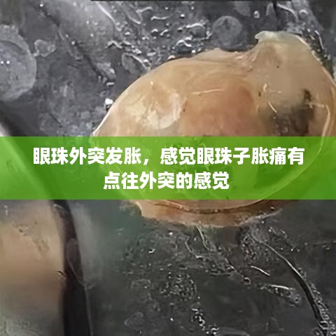 眼珠外突发胀，感觉眼珠子胀痛有点往外突的感觉 