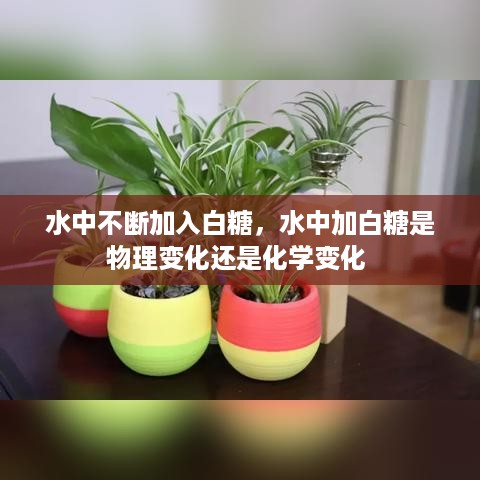 水中不断加入白糖，水中加白糖是物理变化还是化学变化 