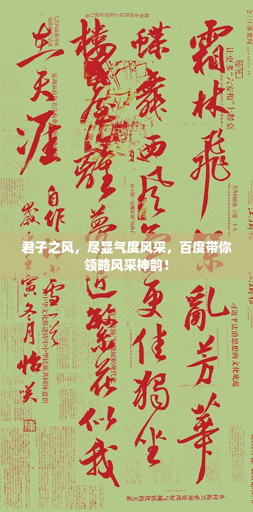 君子之风，尽显气度风采，百度带你领略风采神韵！