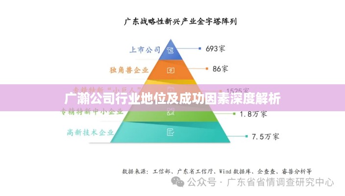 广瀚公司行业地位及成功因素深度解析