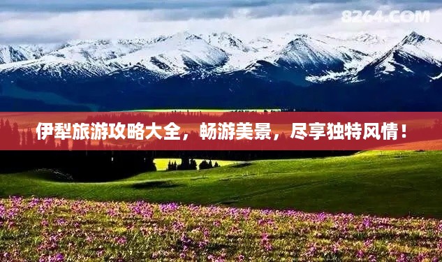 伊犁旅游攻略大全，畅游美景，尽享独特风情！