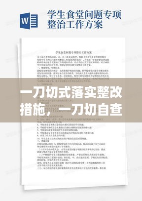 一刀切式落实整改措施，一刀切自查报告 