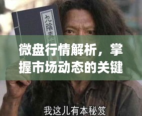 微盘行情解析，掌握市场动态的关键要素与策略！