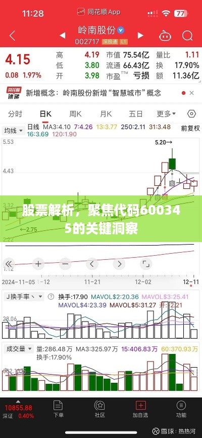 股票解析，聚焦代码600345的关键洞察