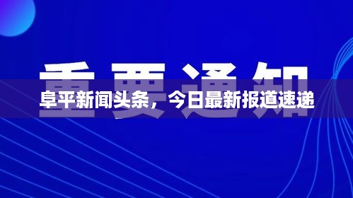 阜平新闻头条，今日最新报道速递