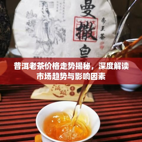 普洱老茶价格走势揭秘，深度解读市场趋势与影响因素