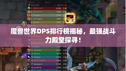 魔兽世界DPS排行榜揭秘，最强战斗力殿堂探寻！