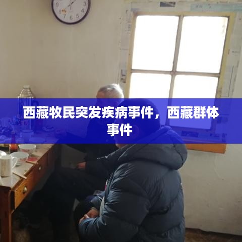 西藏牧民突发疾病事件，西藏群体事件 