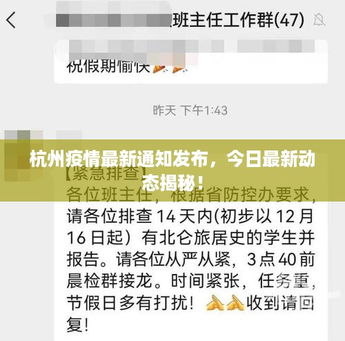 杭州疫情最新通知发布，今日最新动态揭秘！