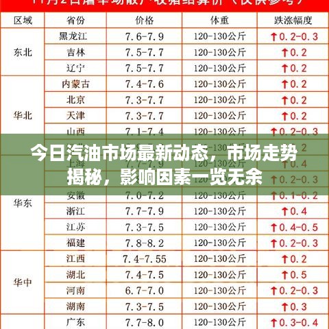 今日汽油市场最新动态，市场走势揭秘，影响因素一览无余