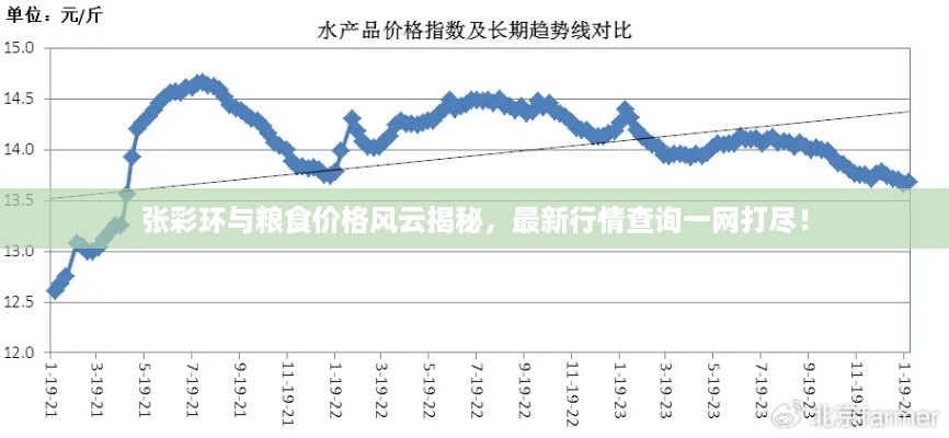 张彩环与粮食价格风云揭秘，最新行情查询一网打尽！