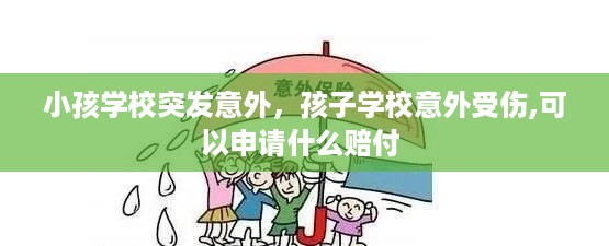 小孩学校突发意外，孩子学校意外受伤,可以申请什么赔付 