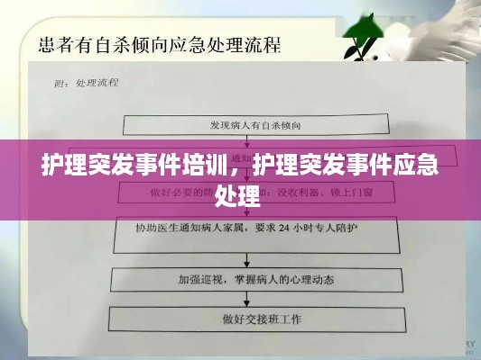 护理突发事件培训，护理突发事件应急处理 