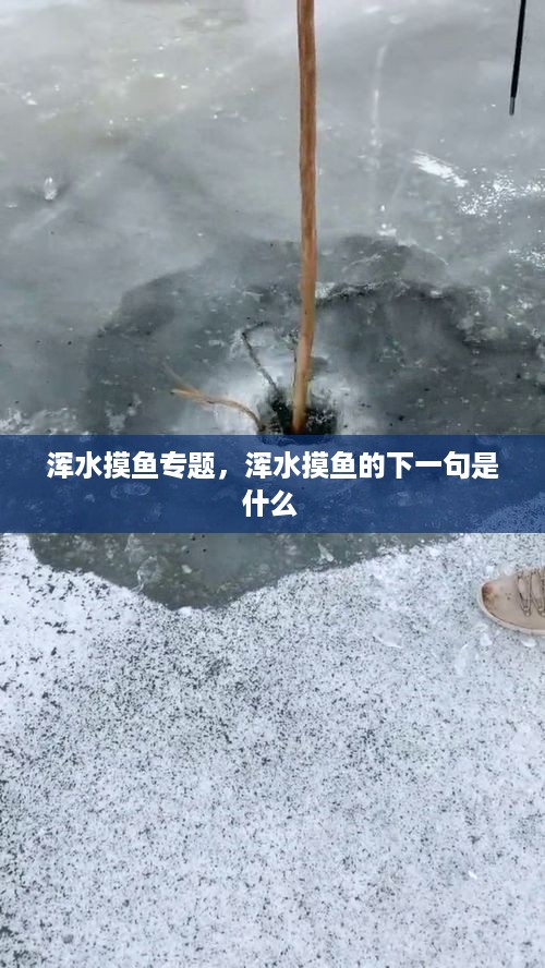 浑水摸鱼专题，浑水摸鱼的下一句是什么 