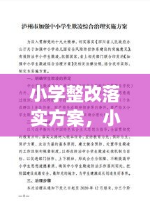 小学整改落实方案，小学生整改计划书 