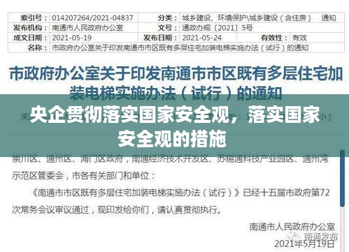 央企贯彻落实国家安全观，落实国家安全观的措施 