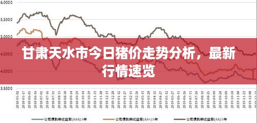 甘肃天水市今日猪价走势分析，最新行情速览